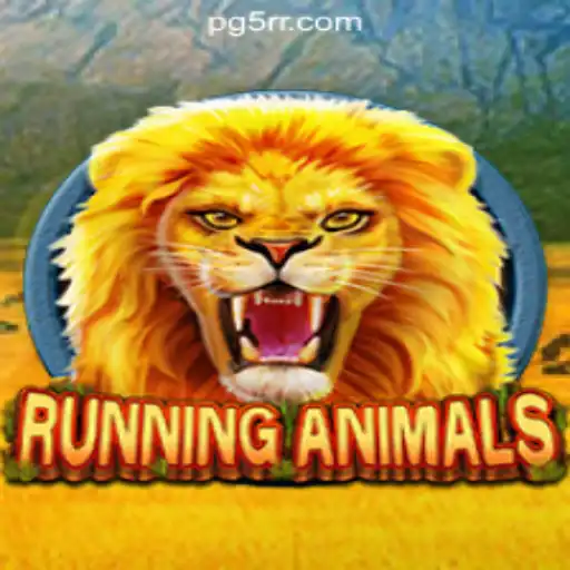 5RR.com Oficial Slots Brasil #1 Privacy Policy